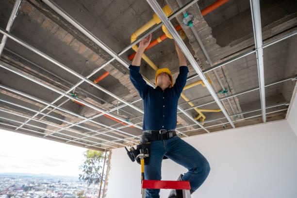 Best Clogged Drain Plumber  in Holts Summit, MO